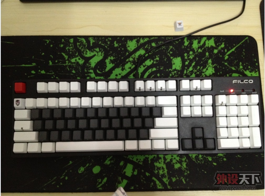 ���Ϻ�����filcoһ������ 550���� ����PLUM96����