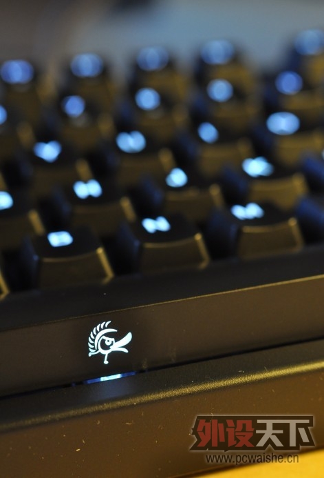 Ducky����׹⣬��ͼ���ţ����룡����