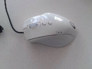1344155907044.jpg