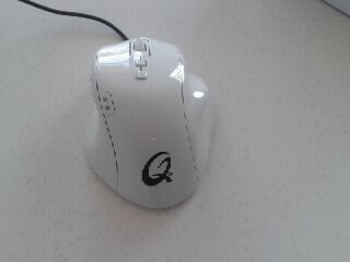 1344155896854.jpg