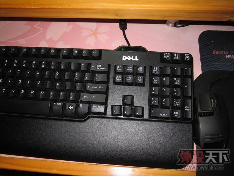[17P] �����Ա�,������꣡