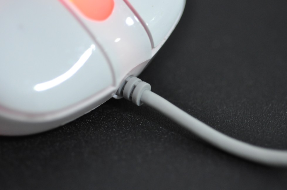 ��֮�¡���ZOWIE EC EVO������������~