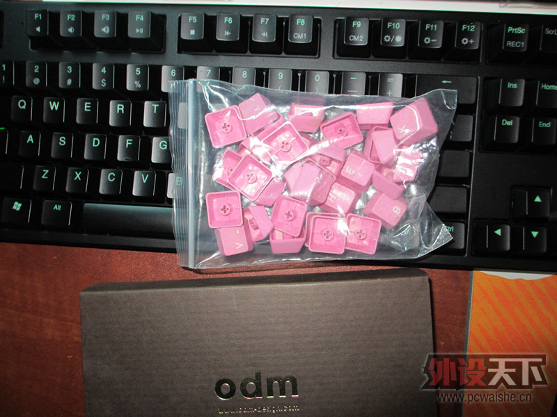 005.jpg
