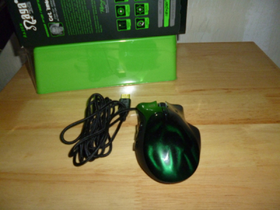 P1000700.JPG