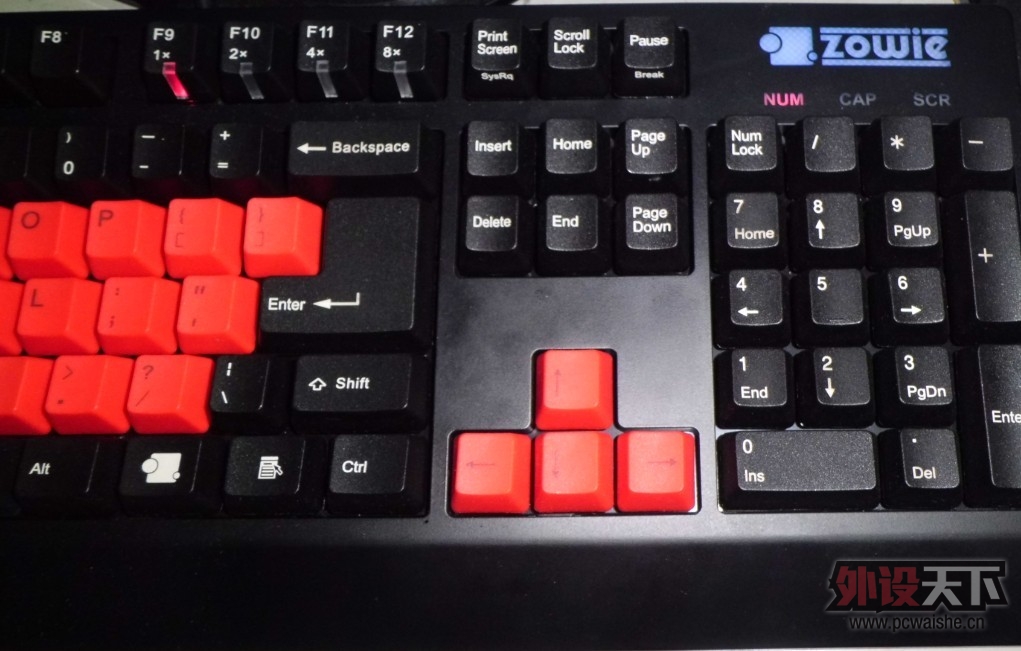 ���ɶ�����ZOWIEһ������ 9�� 1100����� ����ɭ������ KANA���