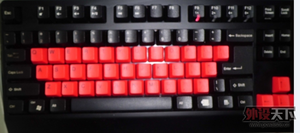 ���ɶ�����ZOWIEһ������ 9�� 1100����� ����ɭ������ KANA���