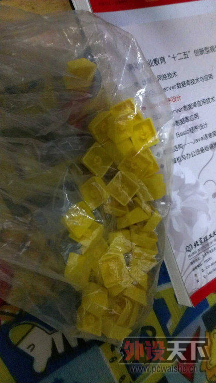 IMAG0177.jpg