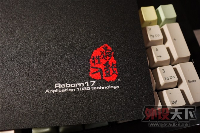 Reborn 17