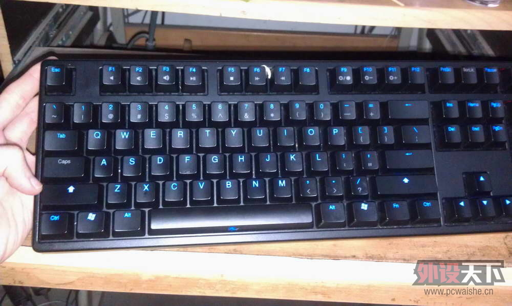 IMAG0352.jpg
