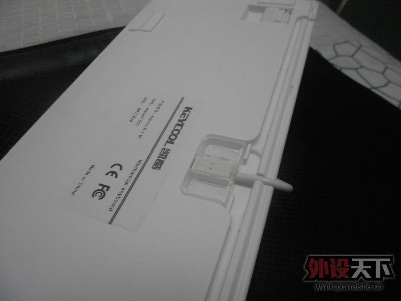 DSCN3686.jpg