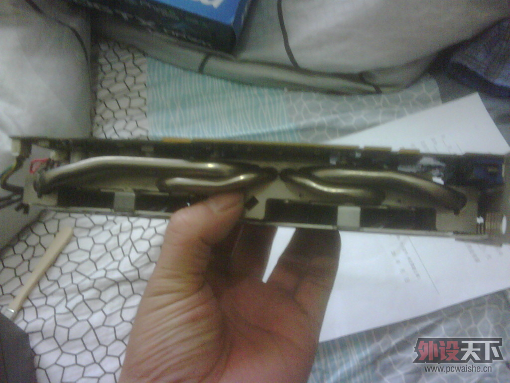 IMG00270-20121203-0925.jpg