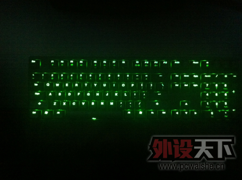 �Գ� Ducky shining 1�� �̹����