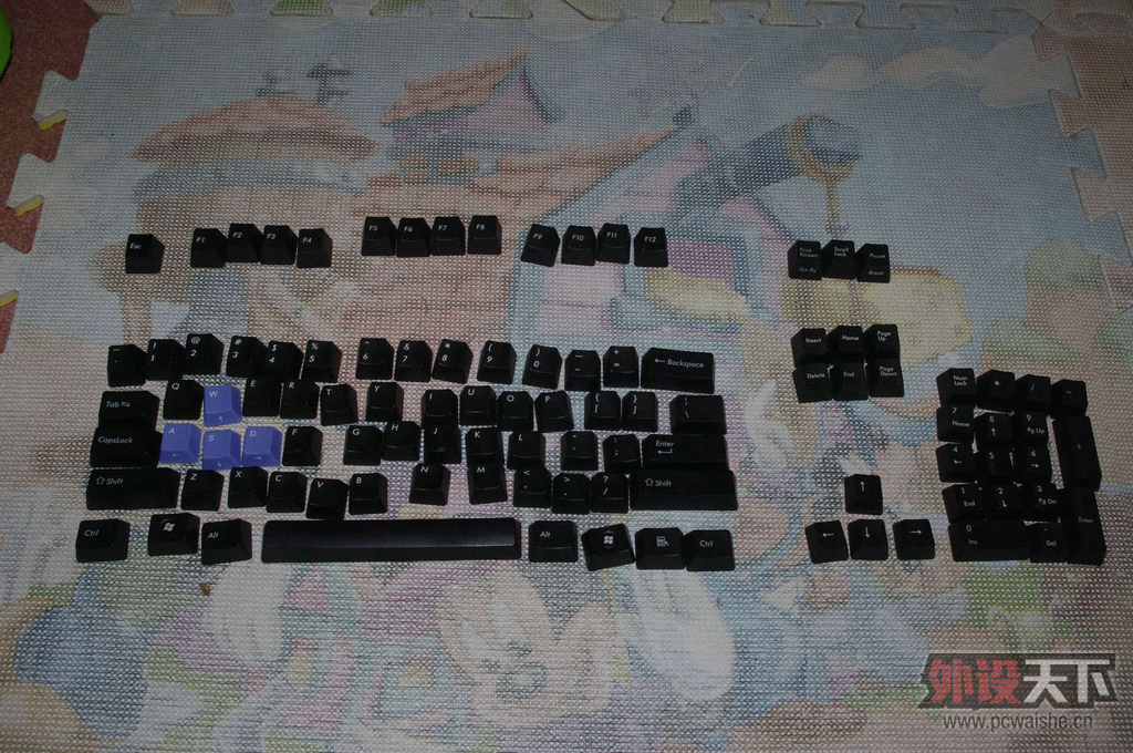 IMGP2042.JPG