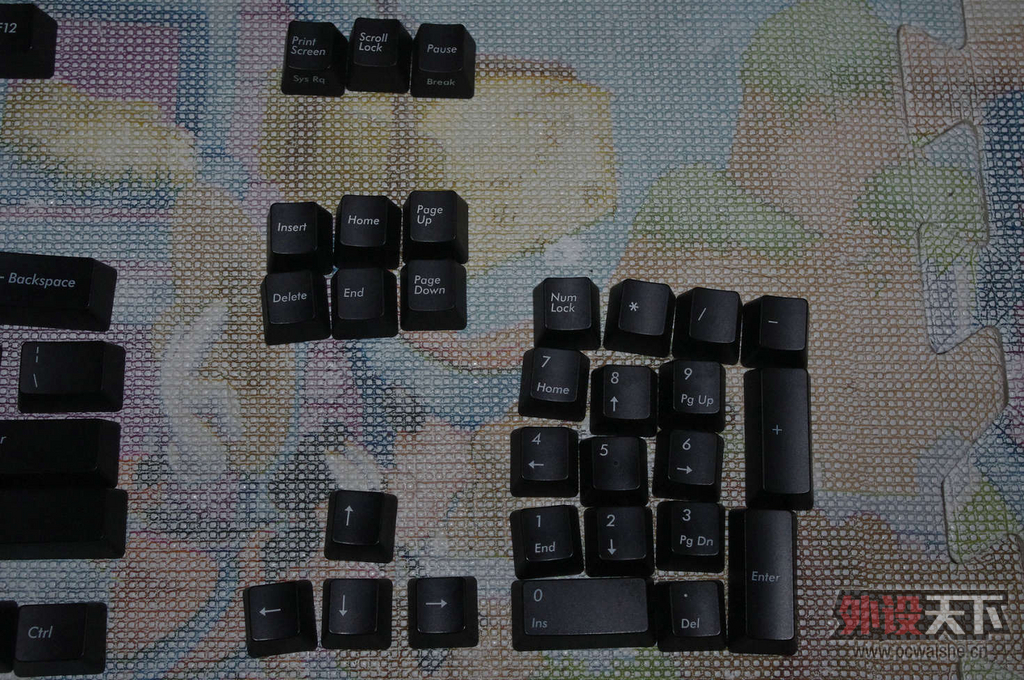 IMGP2048.JPG
