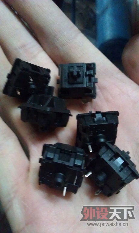IMAG0425.jpg
