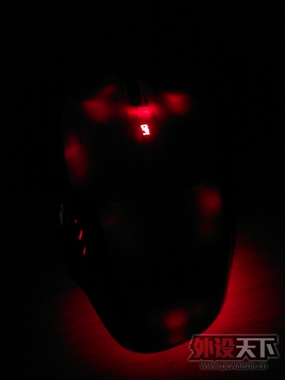 WP_000392.jpg