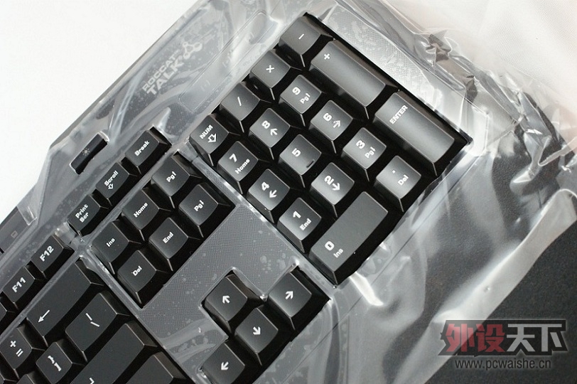 Roccat/ ISKUڤⱪ Ϸ ʵͼ