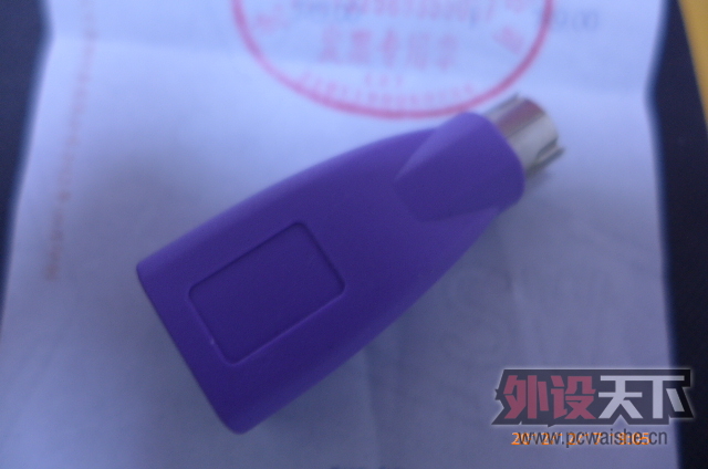 P1010160.JPG