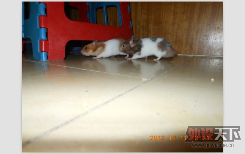 �������ռ�����ֻ��G9X���¹������޼����ۺ����ˬ��