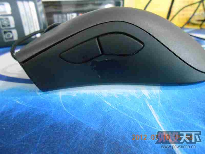 DSCN6498.jpg
