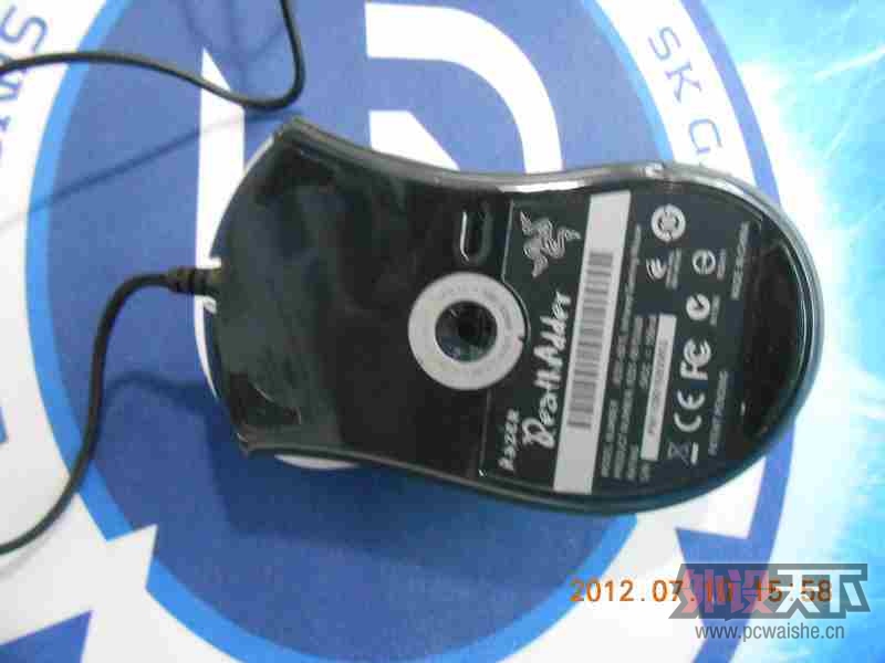 DSCN6501.jpg