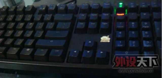 333.jpg