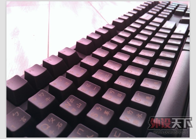 ������Ѽ��DUCKY 1008xm�� ������