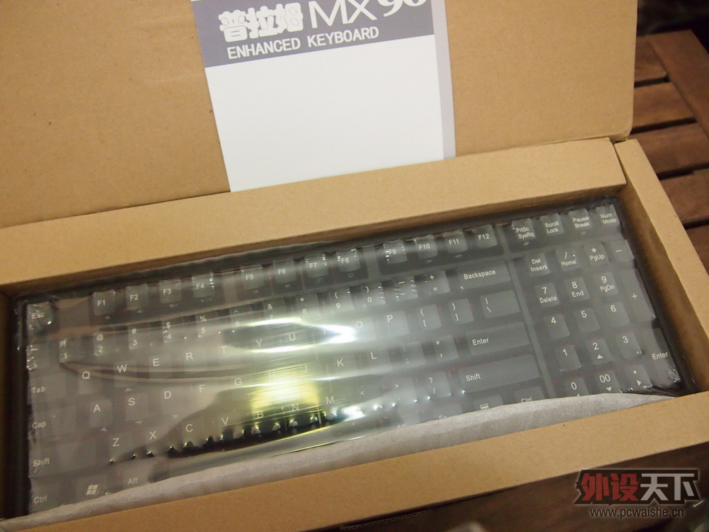 [19P] Plum��Ducky������Ducky96��
