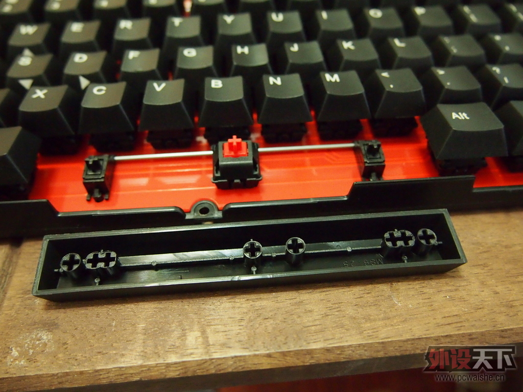 [19P] Plum��Ducky������Ducky96��