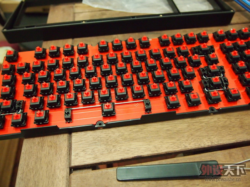 [19P] Plum��Ducky������Ducky96��