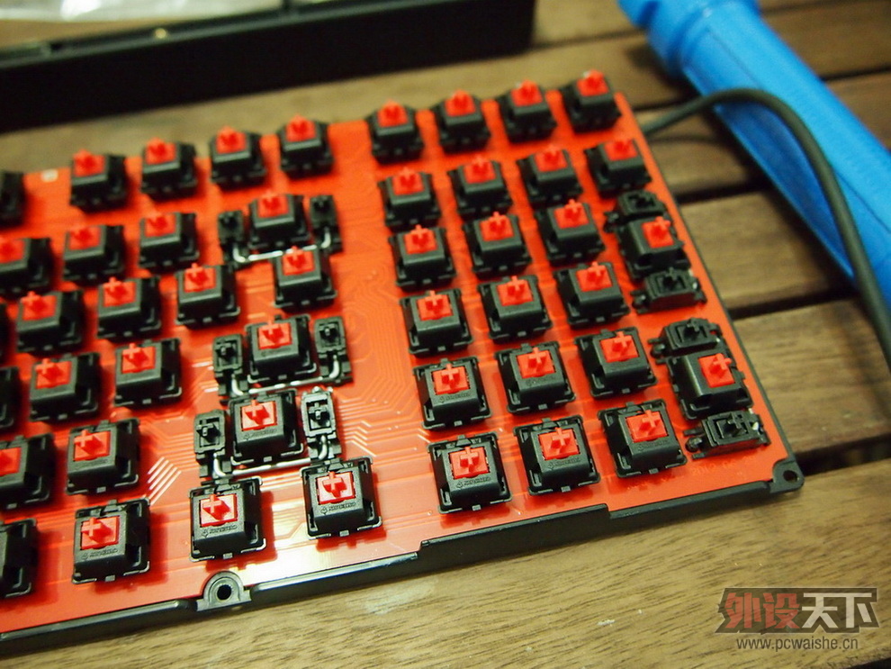 [19P] Plum��Ducky������Ducky96��