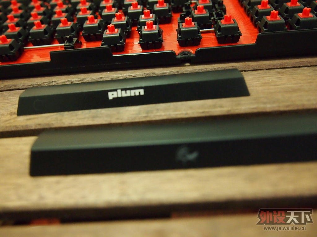 [19P] Plum��Ducky������Ducky96��