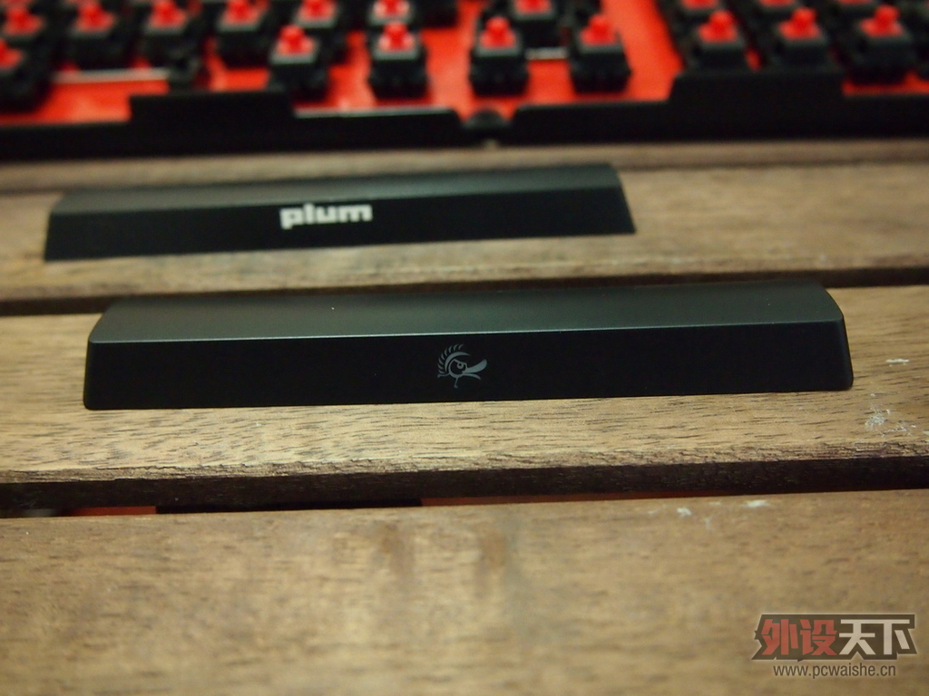 [19P] Plum��Ducky������Ducky96��