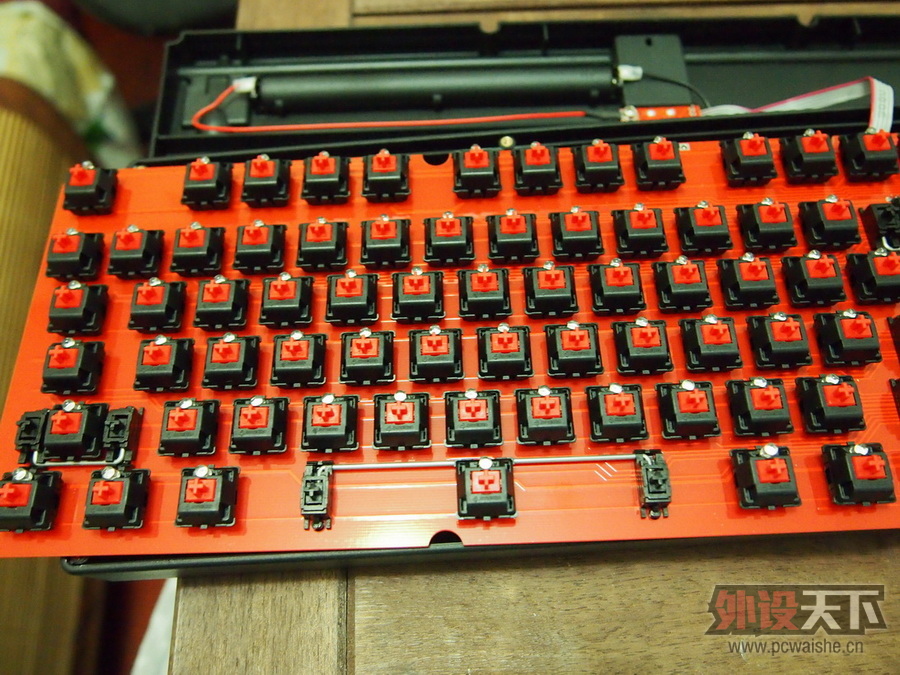 [19P] Plum��Ducky������Ducky96��