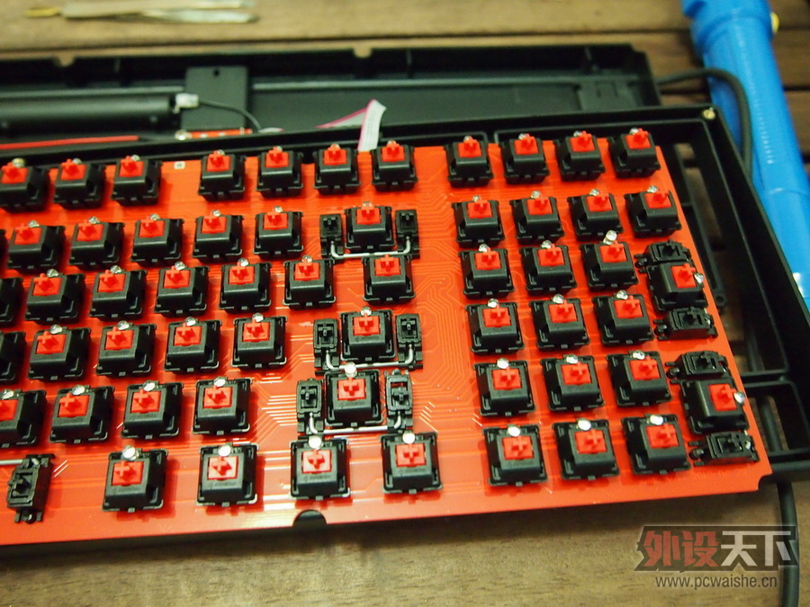 [19P] Plum��Ducky������Ducky96��
