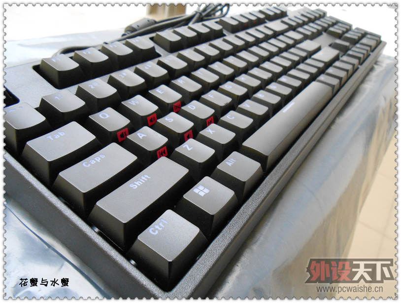 [25P] noppoo choc LED 104 ������Ὺ��.