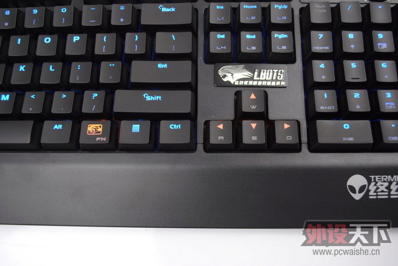 ������Ҫ����������һ���豪���ս��ߡ������汳��ʵ��ͼ��27P���ϡ�