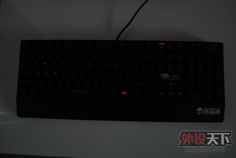 ������Ҫ����������һ���豪���ս��ߡ������汳��ʵ��ͼ��27P���ϡ�