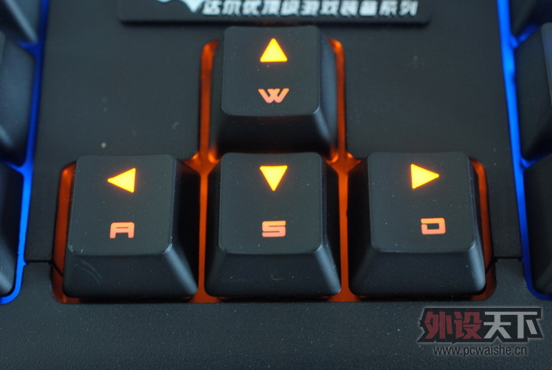 ������Ҫ����������һ���豪���ս��ߡ������汳��ʵ��ͼ��27P���ϡ�