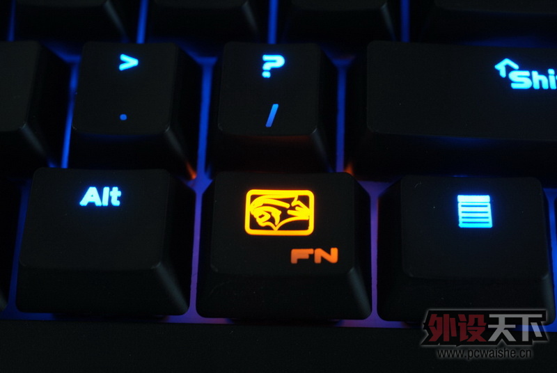 ������Ҫ����������һ���豪���ս��ߡ������汳��ʵ��ͼ��27P���ϡ�