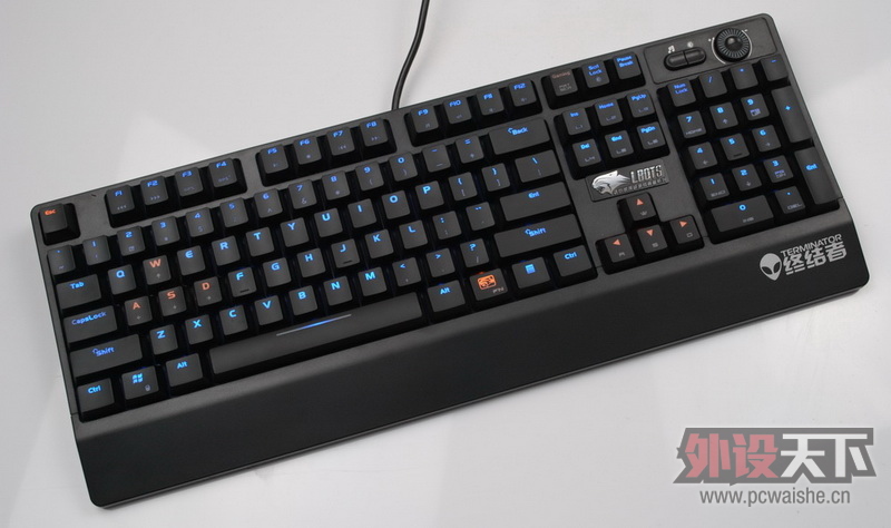 ������Ҫ����������һ���豪���ս��ߡ������汳��ʵ��ͼ��27P���ϡ�