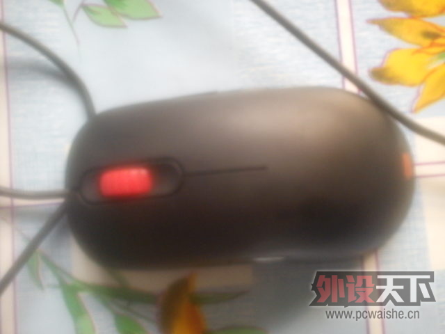 zowie am ���ʰ� 240���� 9��