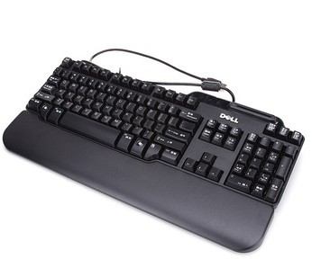DELL �¶�����