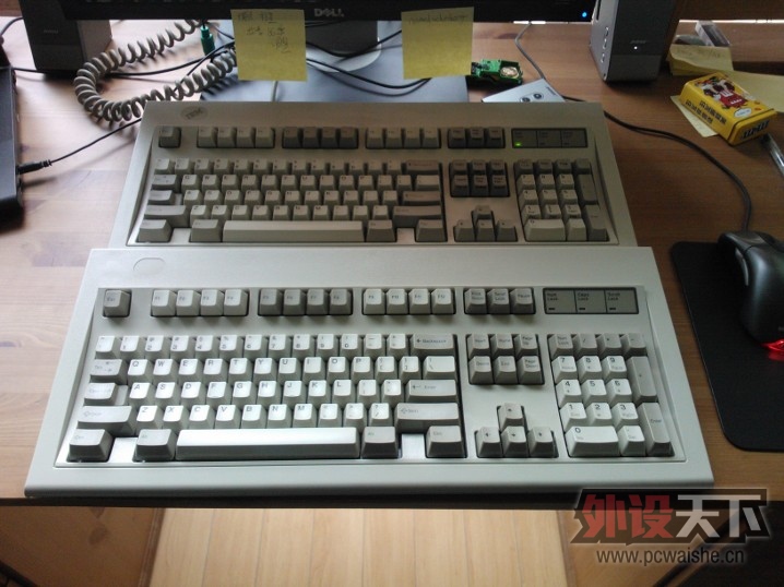 ylj or NIB ɵɵ�ֲ����