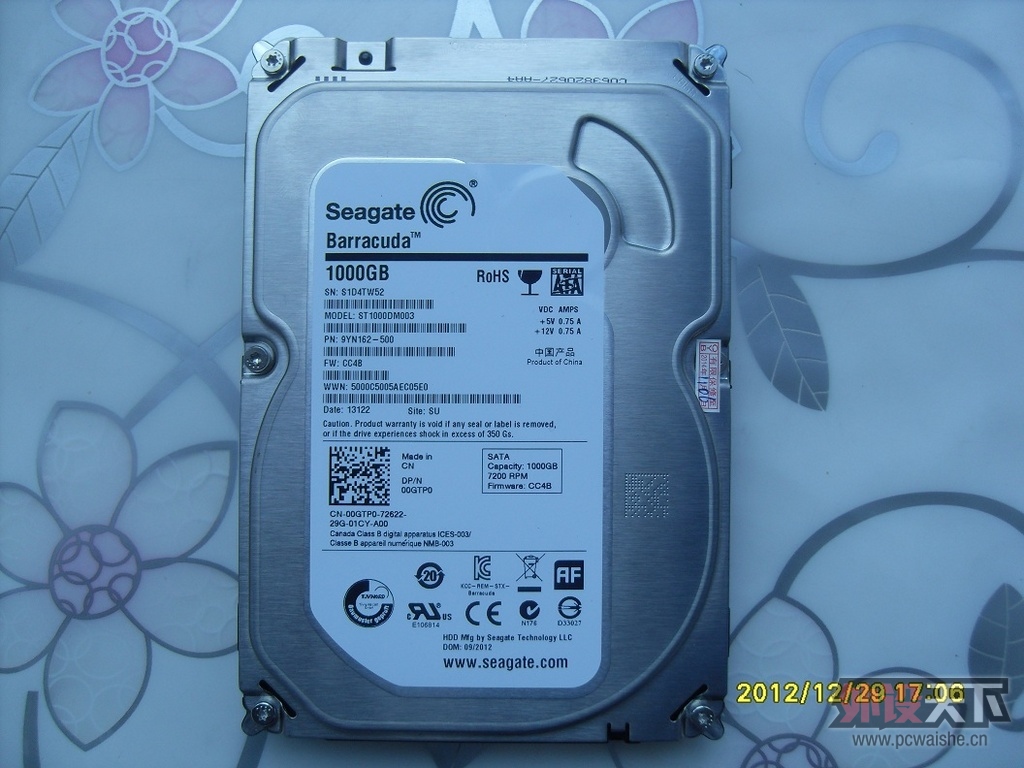 SDC17876.JPG