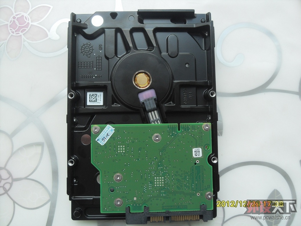 SDC17879.JPG