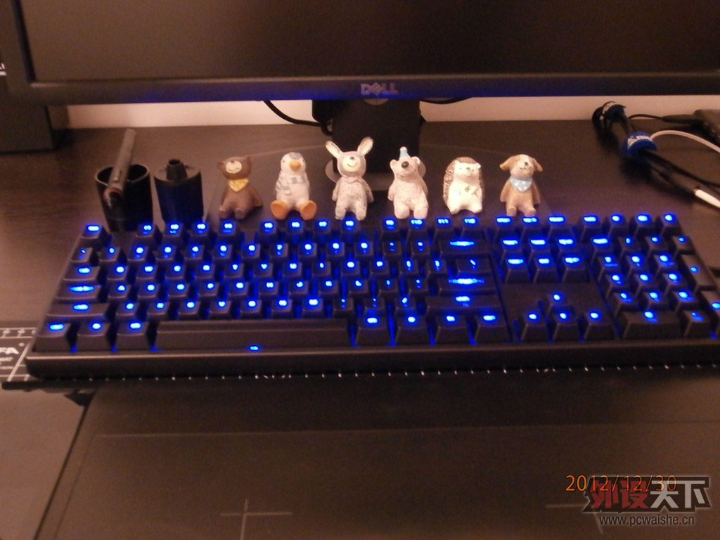 PC300019.jpg