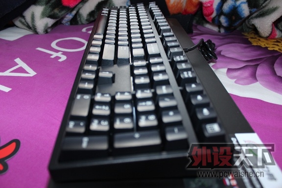 ���������  DUCKY 2108 �ں�