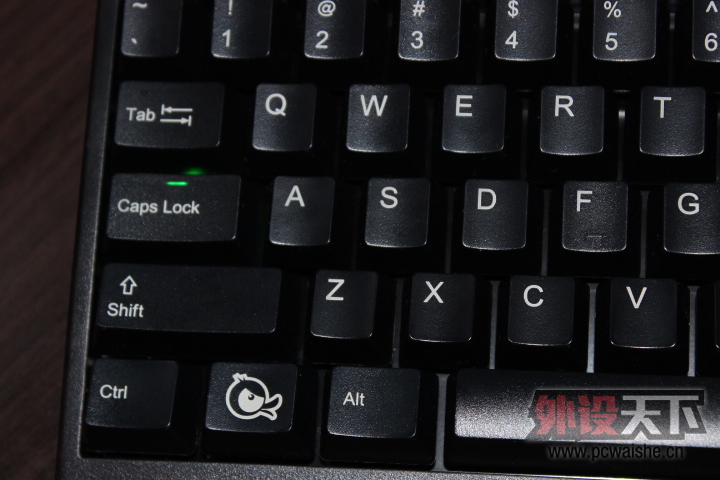 ���������  DUCKY 2108 �ں�
