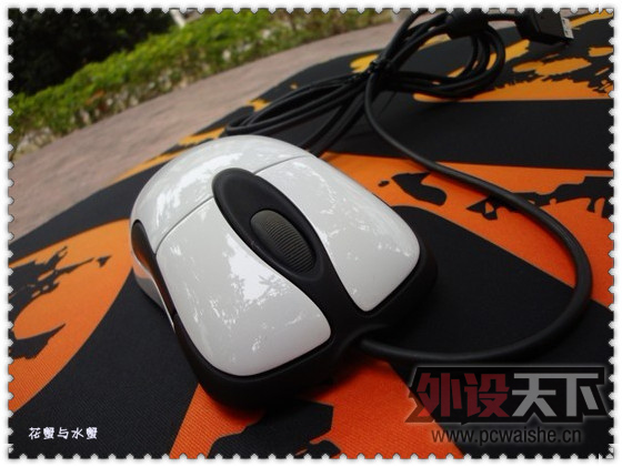 [29P][2012�ܼһع�]2012Ҳ����㶫��.��ѧ��ѽ...